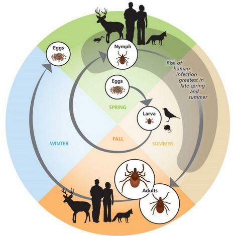 AGRITALK PODCAST: Parasites Control Tips in Livestock Farming