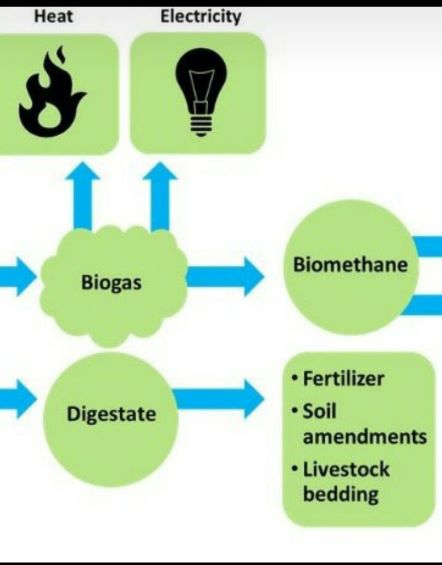AGRITALK PODCAST; Biogas; invest in a biogas digester…cut energy cost