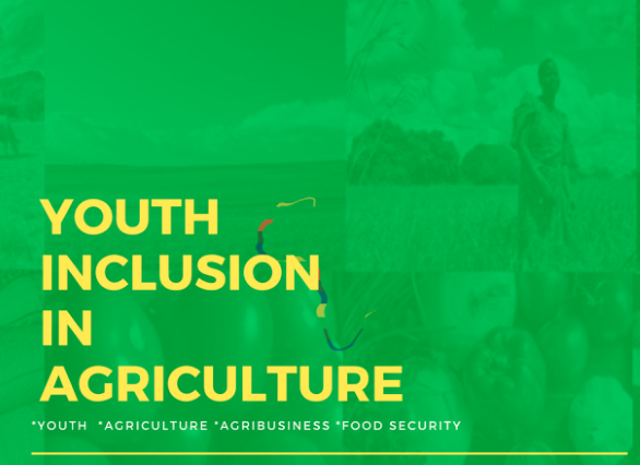 FEEDING AFRICA PODCAST: Youth as Change Agents in Livestock Development