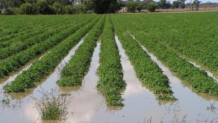 Farming