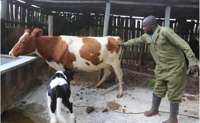 Farmers Podcast: Animal feeds; managing high costs