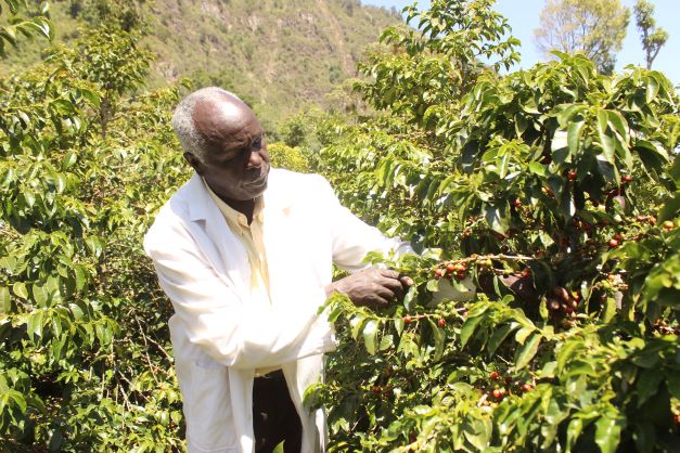 Agritalk Podcast: Coffee farming changed my life, retired teacher