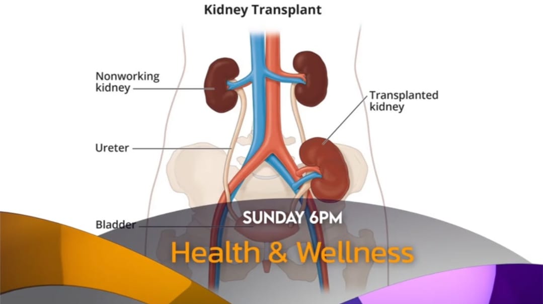 Kidney Transplant: Surgery, Purpose, Procedure & Recovery: Health & Wellness Podcast