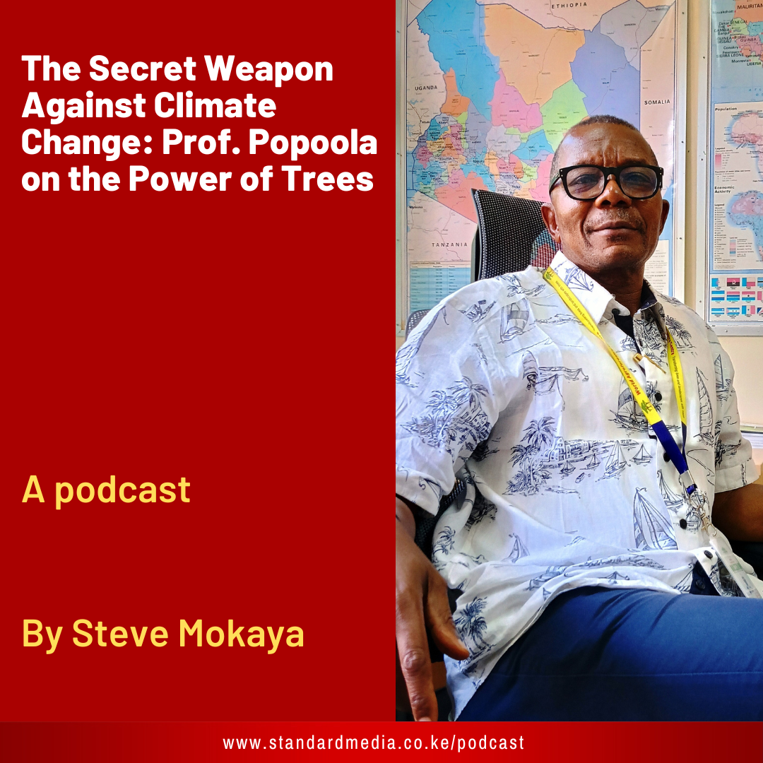 The Secret Weapon Against Climate Change: Prof. Popoola on the Power of Trees